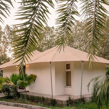 Clarks Safari Ranthambore Khilchipur  Екстер'єр фото