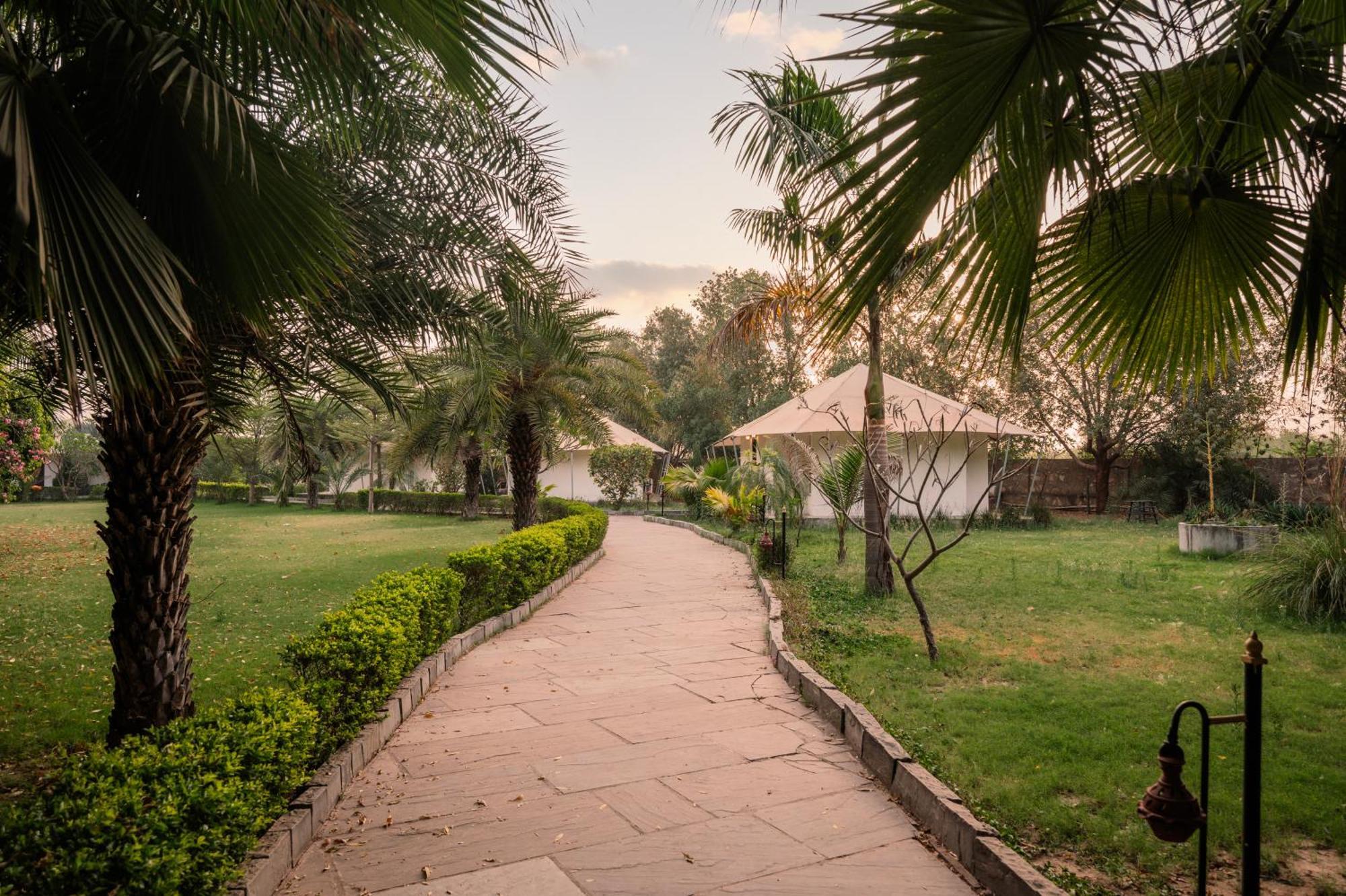 Clarks Safari Ranthambore Khilchipur  Екстер'єр фото